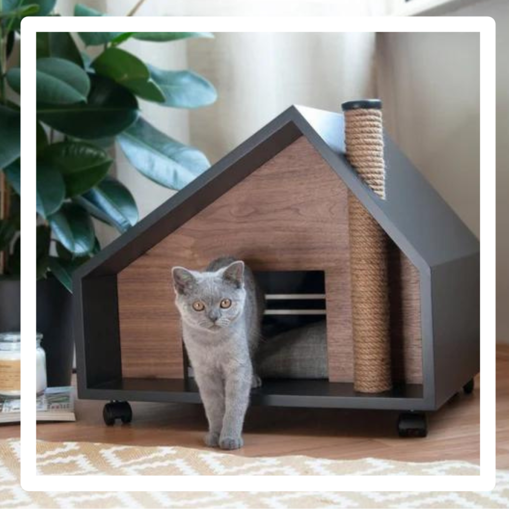 cat house