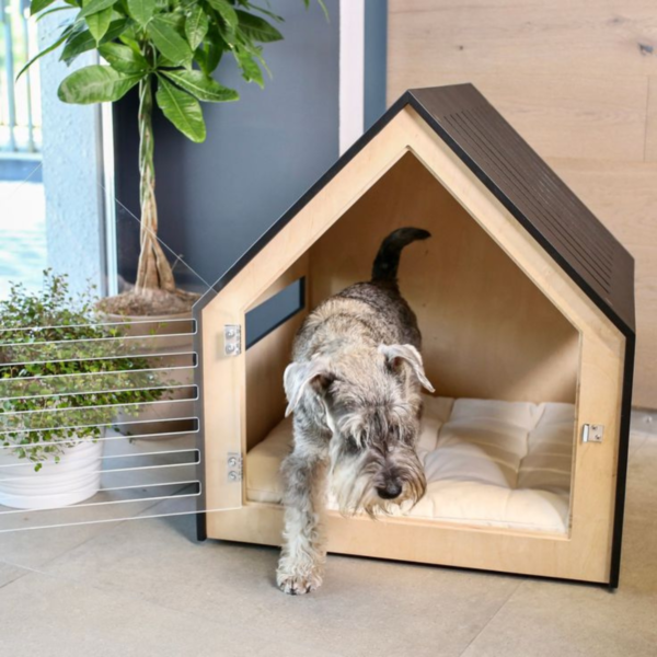 dog house