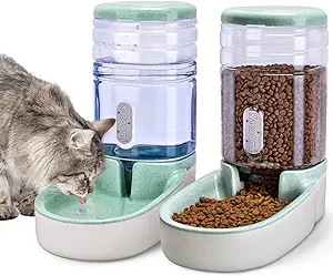 Cat Food and Water Bowls