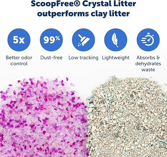 PetSafe ScoopFree Crystal Cat Litter Tray Refills – Lavender Crystals, 6-Pack – Disposable Tray – includes Leak Protection & Low Tracking Litter – Absorbs Odors on Contact