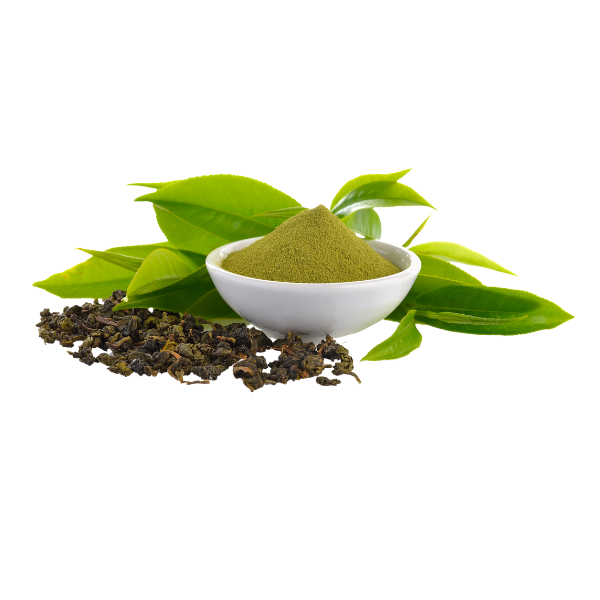 Green Tea Extract